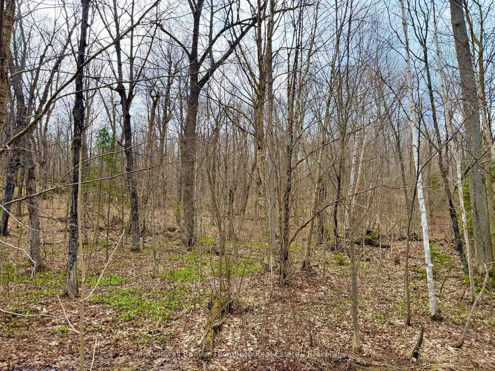 Photo 12 of 0-A Maple Drive S, Parry Sound Remote Area, Wilson — HOMEH