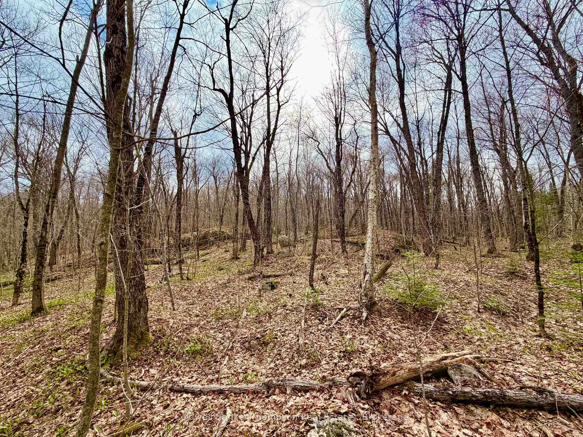 Photo 15 of 0-A Maple Drive S, Parry Sound Remote Area, Wilson — HOMEH