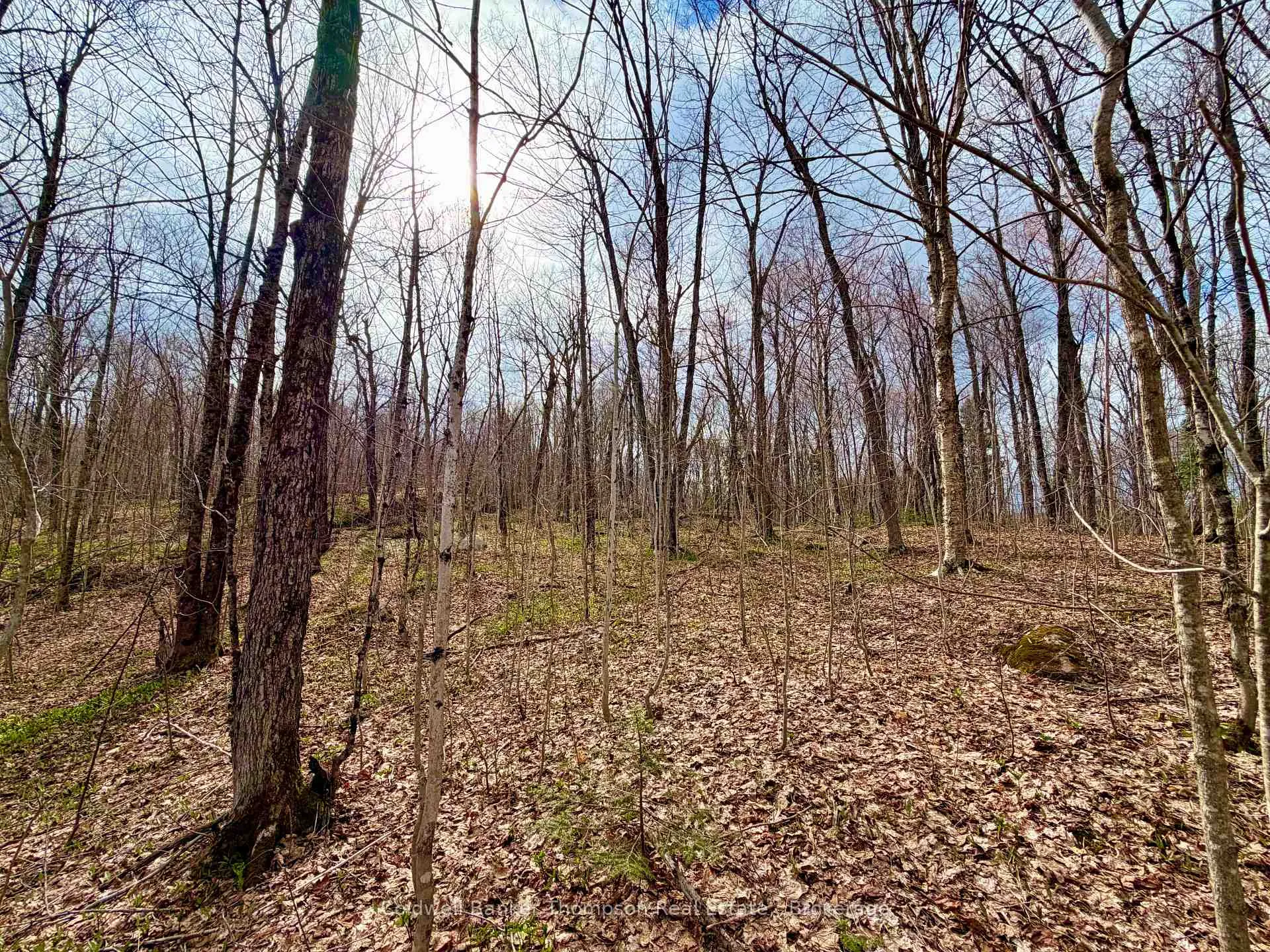 Photo 16 of 0-A Maple Drive S, Parry Sound Remote Area, Wilson — HOMEH