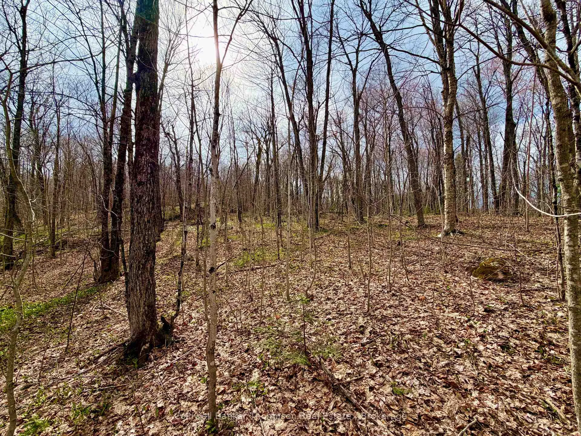 Photo 17 of 0-A Maple Drive S, Parry Sound Remote Area, Wilson — HOMEH