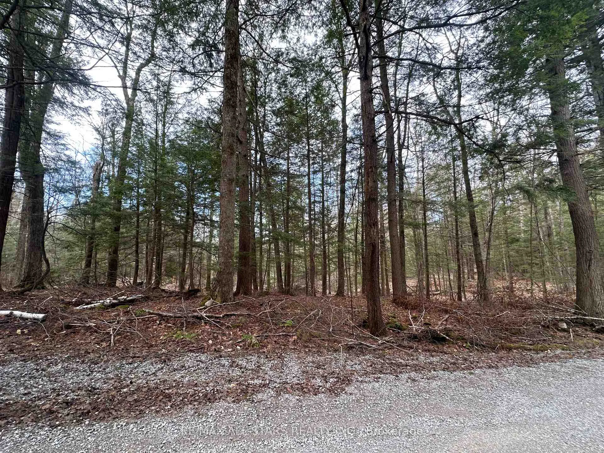 Photo 6 of Fire Route 267, Trent Lakes — HOMEH