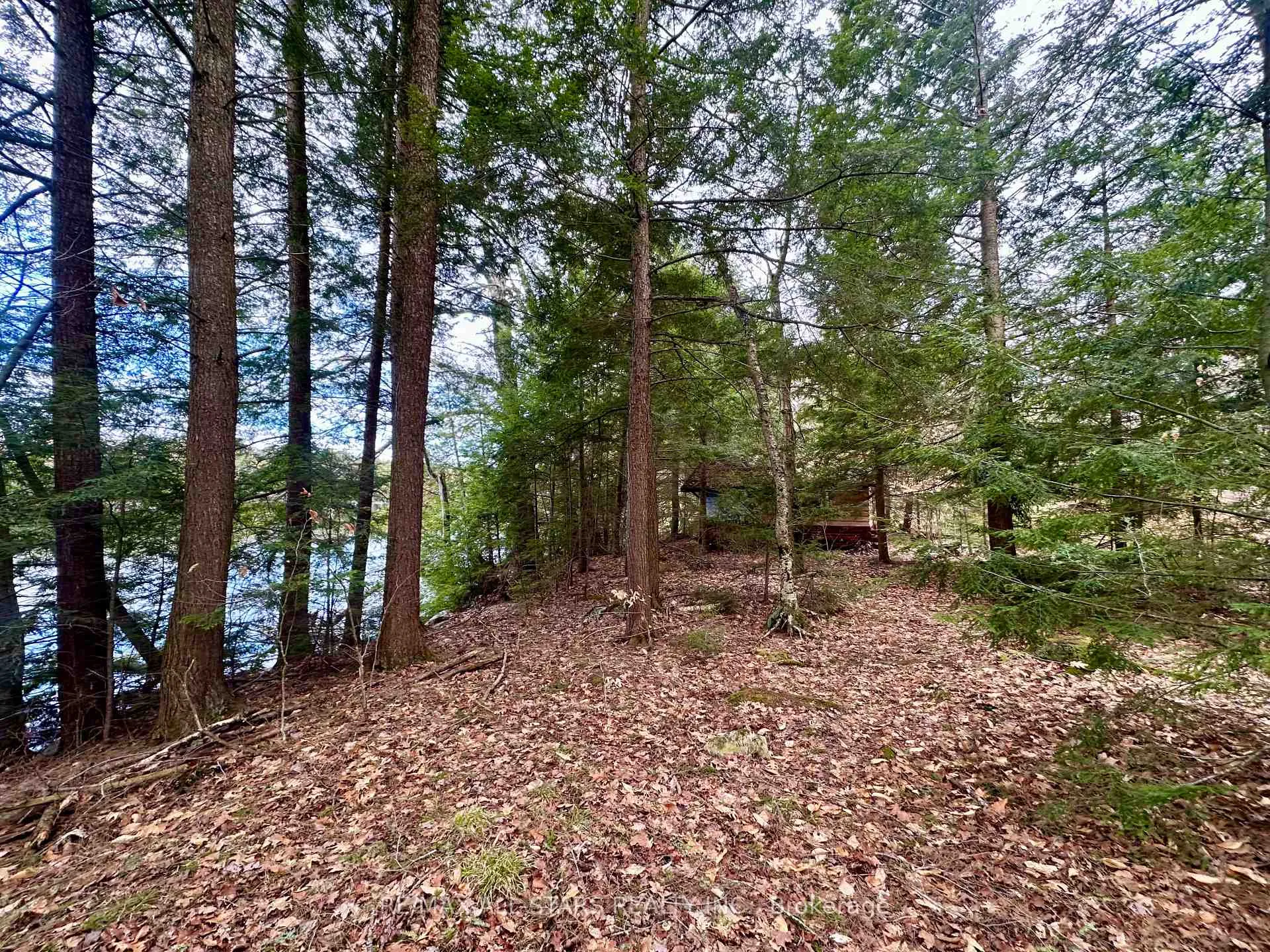 Photo 7 of Fire Route 267, Trent Lakes — HOMEH
