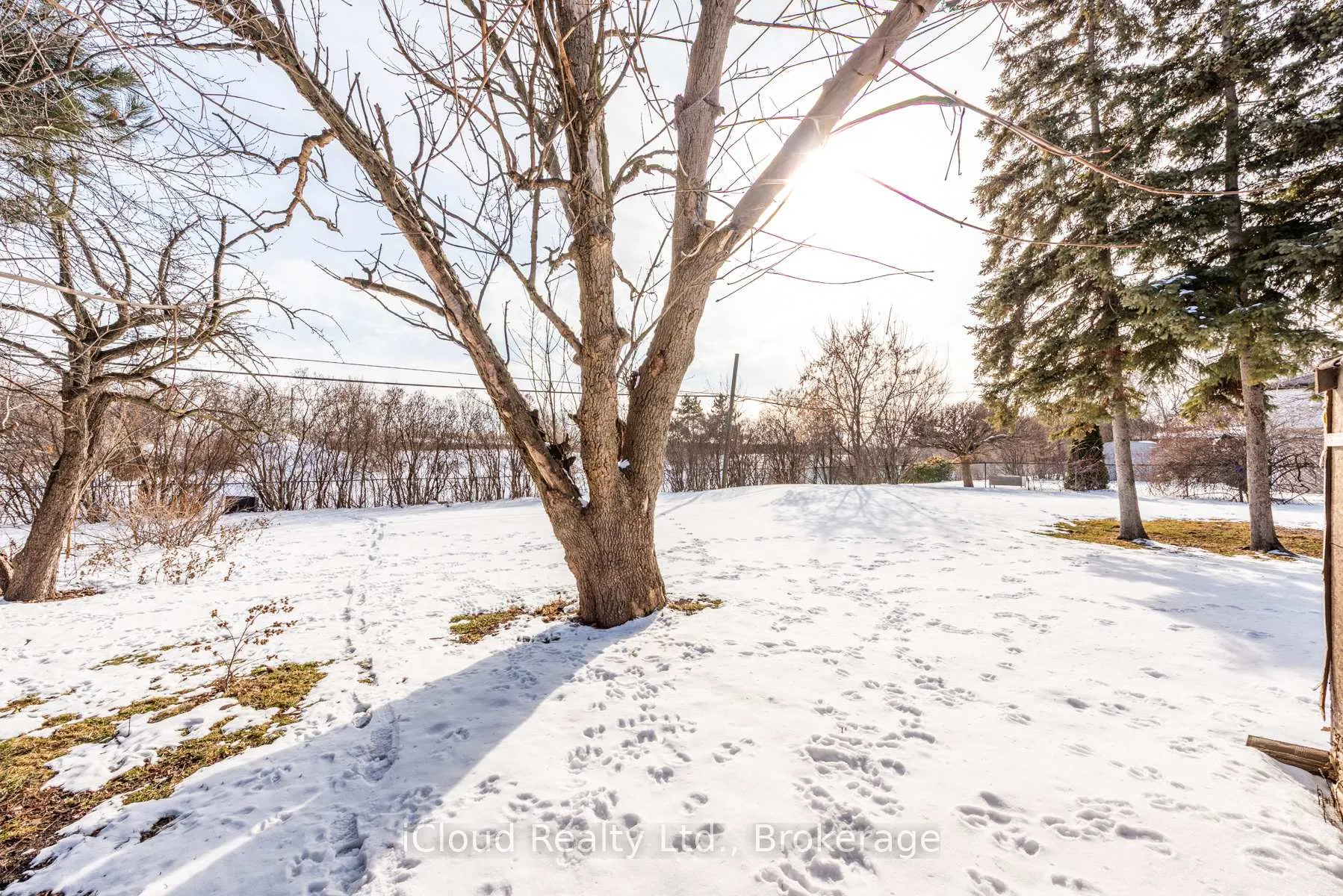 Photo 47 of 105 Avondale Boulevard, Brampton, Avondale — HOMEH