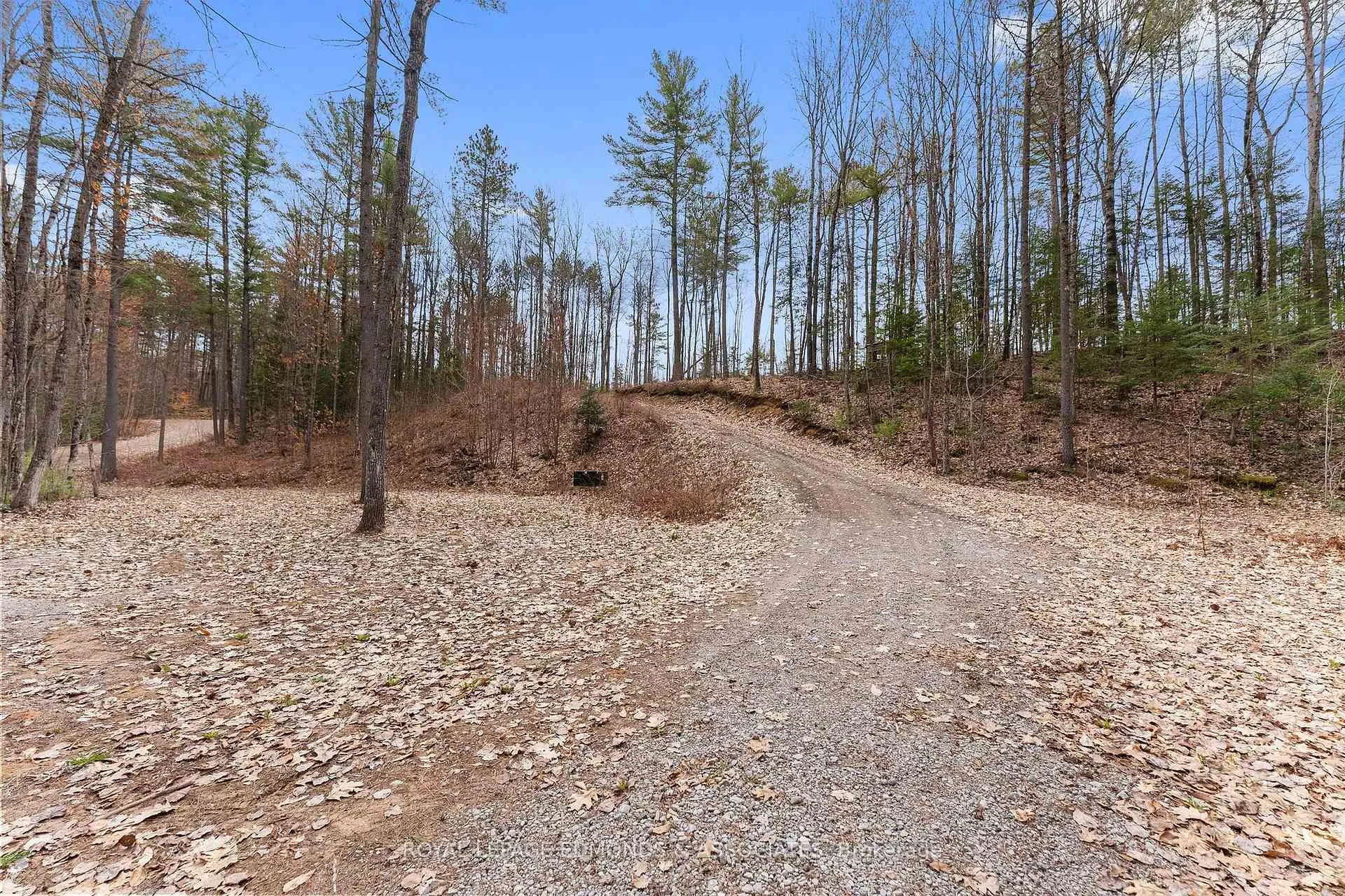 Photo 61 of 290 Hennessy Trail, Whitewater Region, Whitewater Region — HOMEH