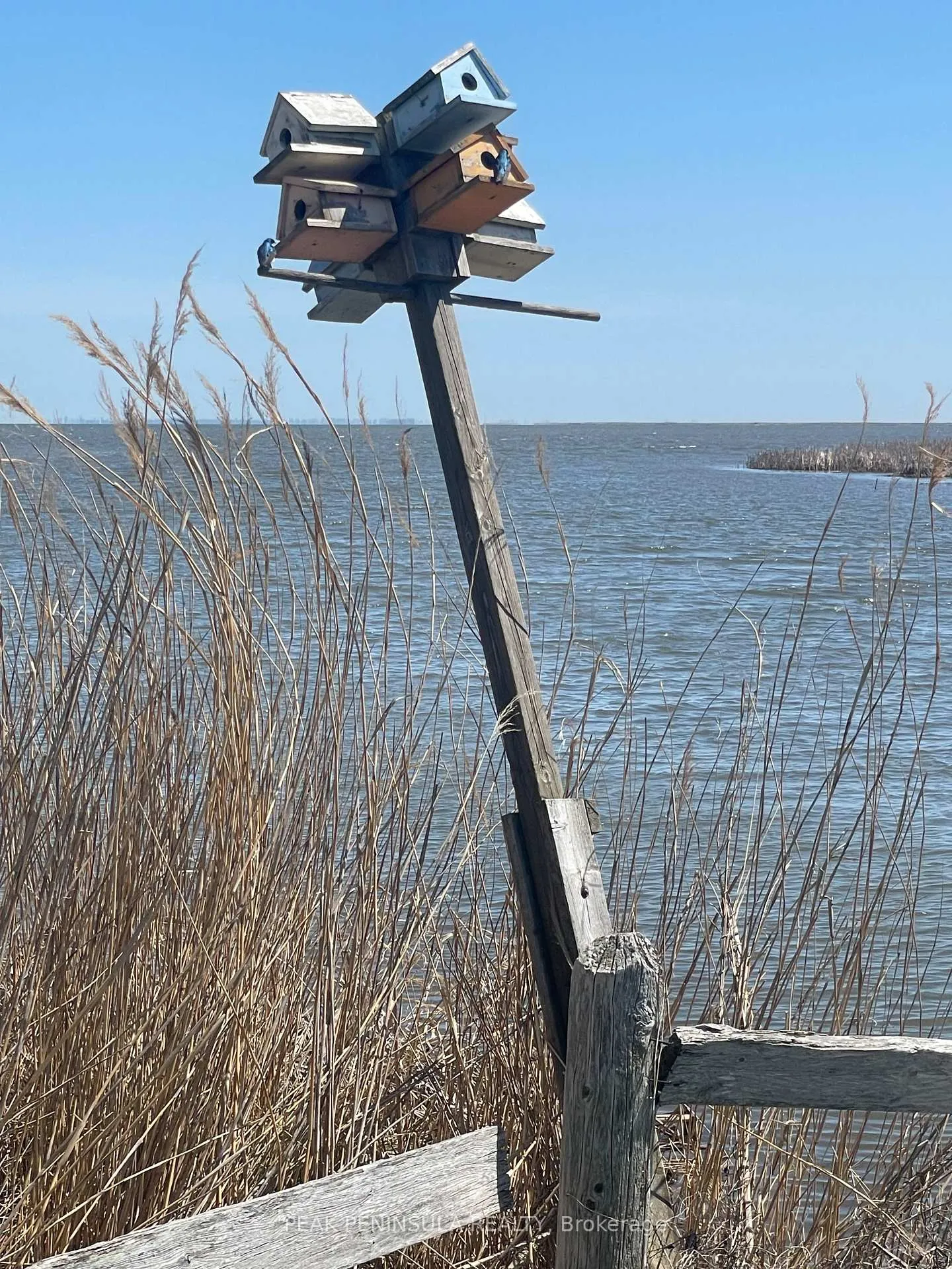 Photo 10 of 1012 William Lane, Norfolk, Long Point — HOMEH