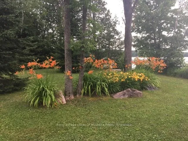 Photo 30 of 3149 520 Highway, Magnetawan — HOMEH