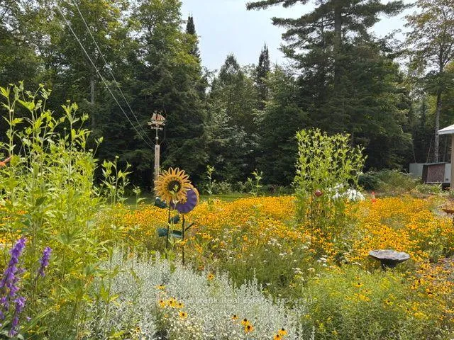 Photo 34 of 989 Mckenzie Lake Road, South Algonquin — HOMEH