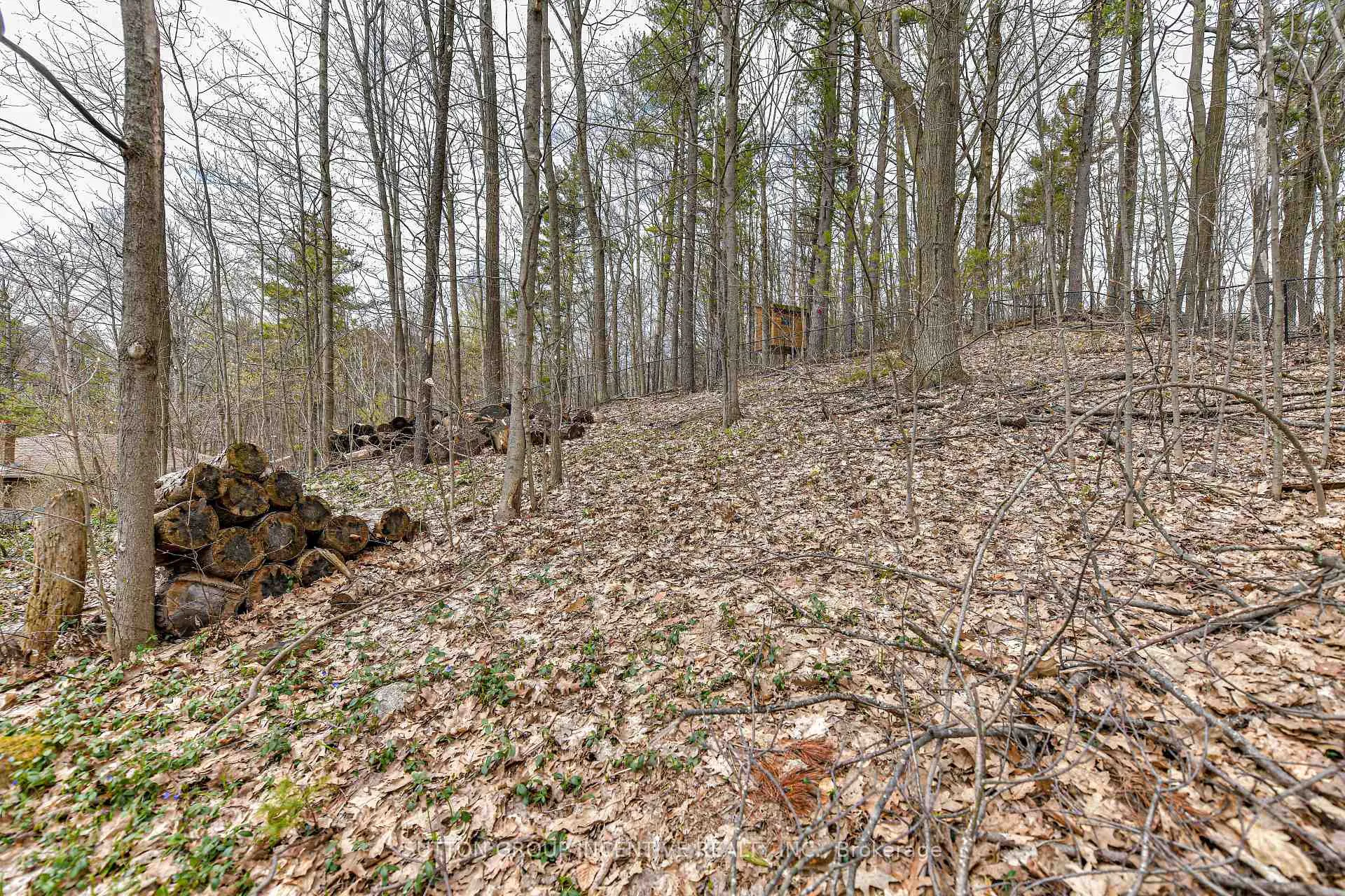 Photo 12 of 1363 St. Vincent Street, Springwater, Midhurst — HOMEH