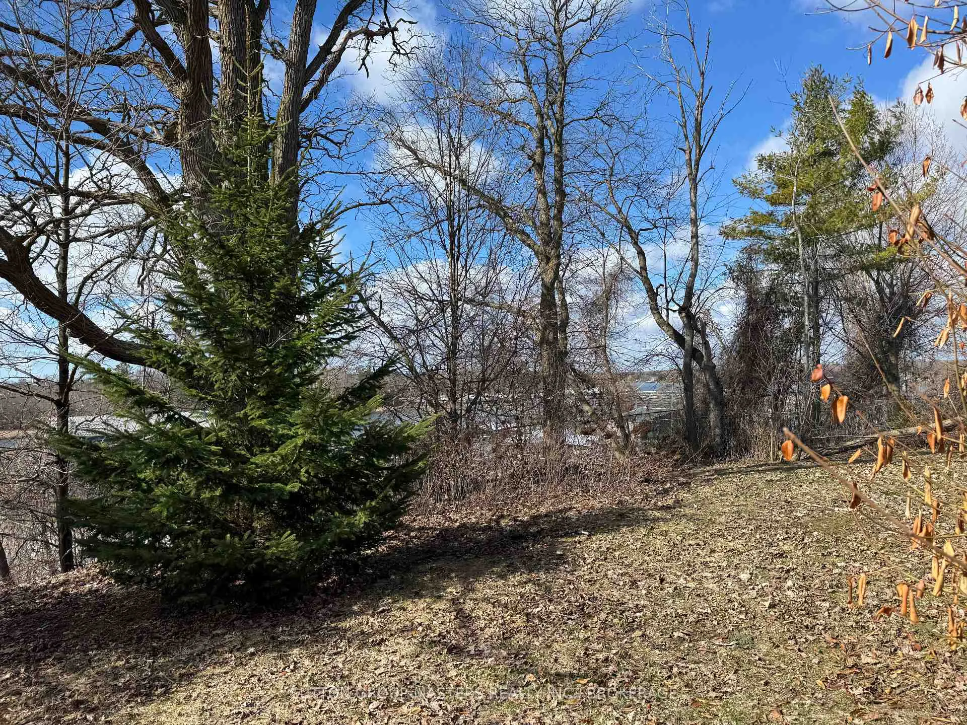 Photo 33 of 597 Forest Hill Drive W, Kingston, South of Taylor-Kidd Blvd — HOMEH