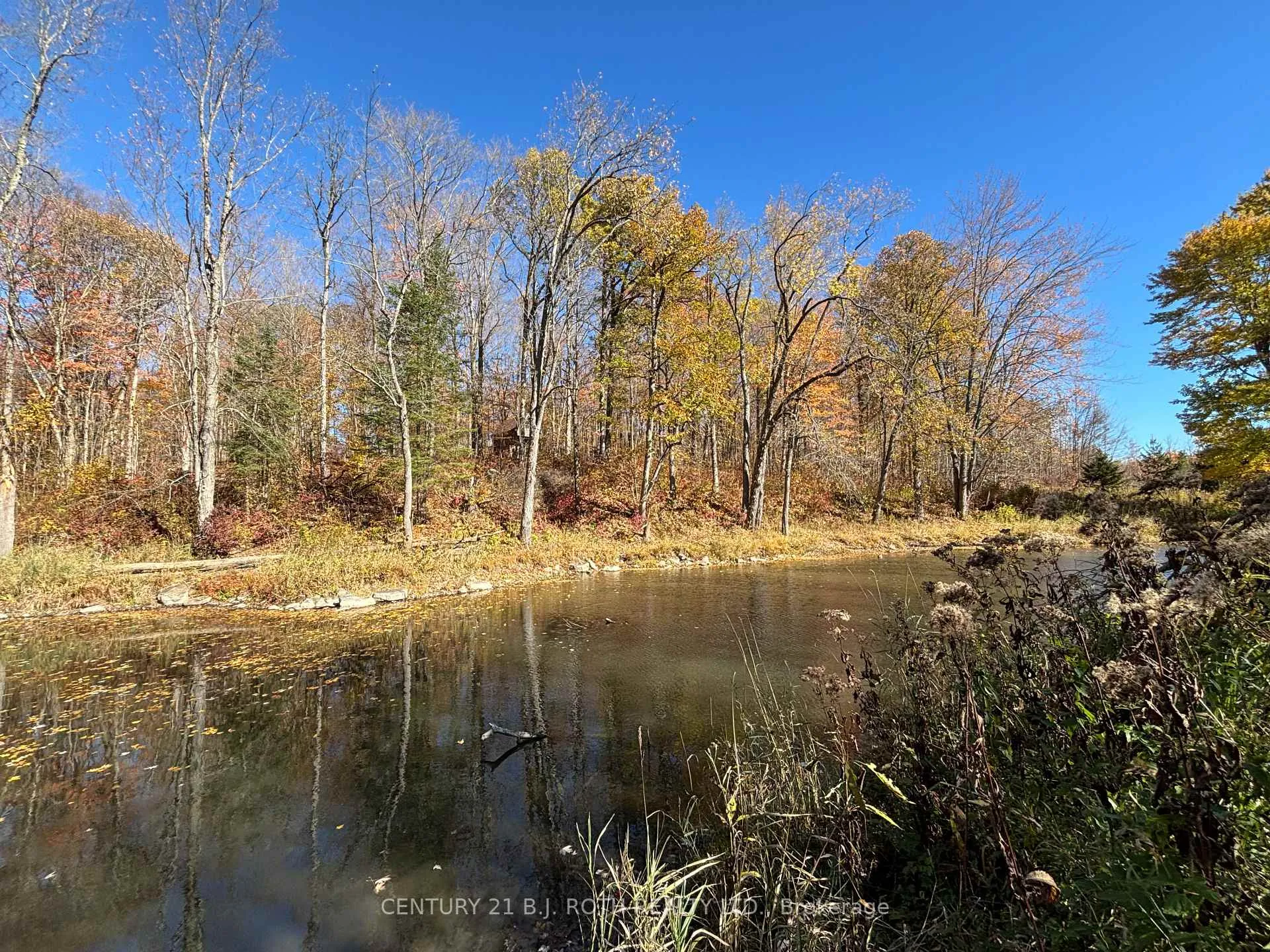 Photo 37 of 1007 Mount Stephen Road NE, Severn, Rural Severn — HOMEH