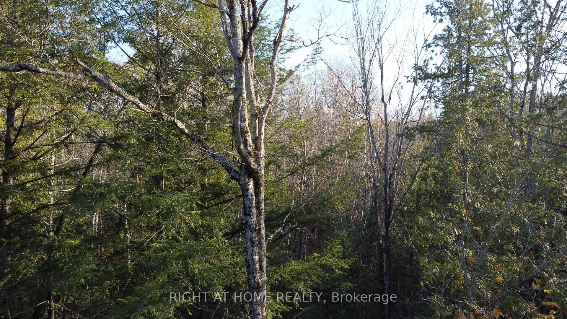 Photo 3 of 2263 Machar Strong Boundry Road, Strong — HOMEH