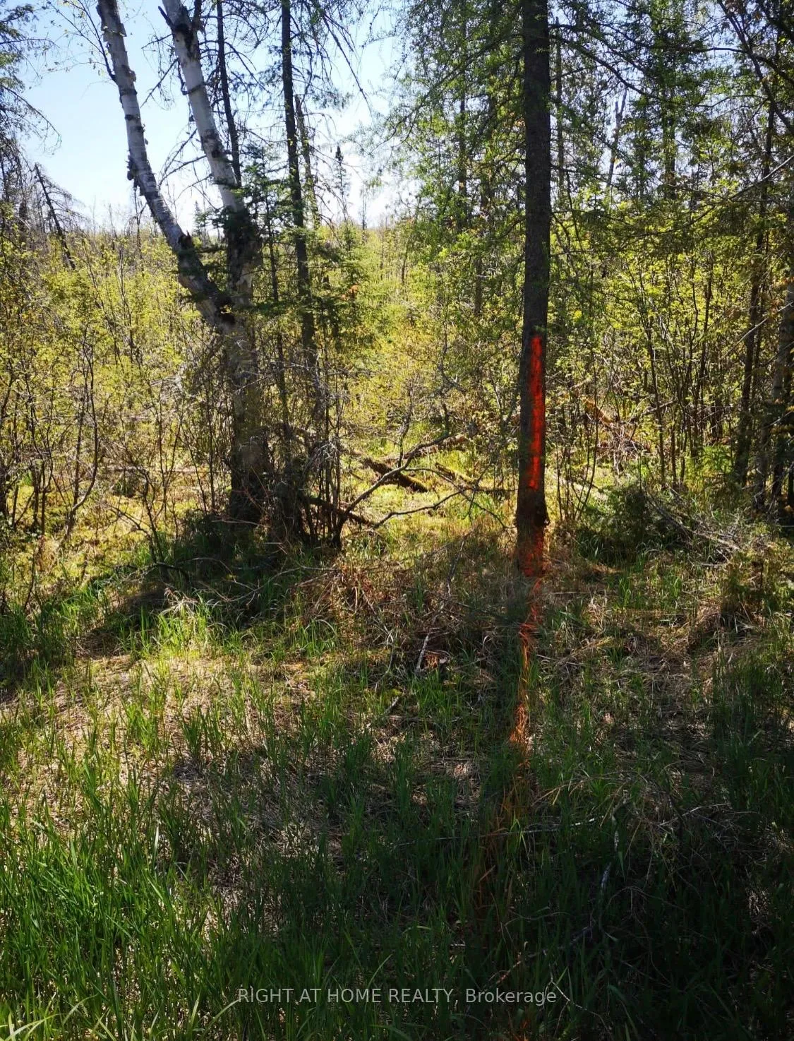 Photo 5 of 2263 Machar Strong Boundry Road, Strong — HOMEH