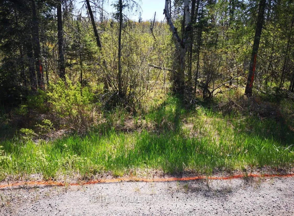 Photo 6 of 2263 Machar Strong Boundry Road, Strong — HOMEH
