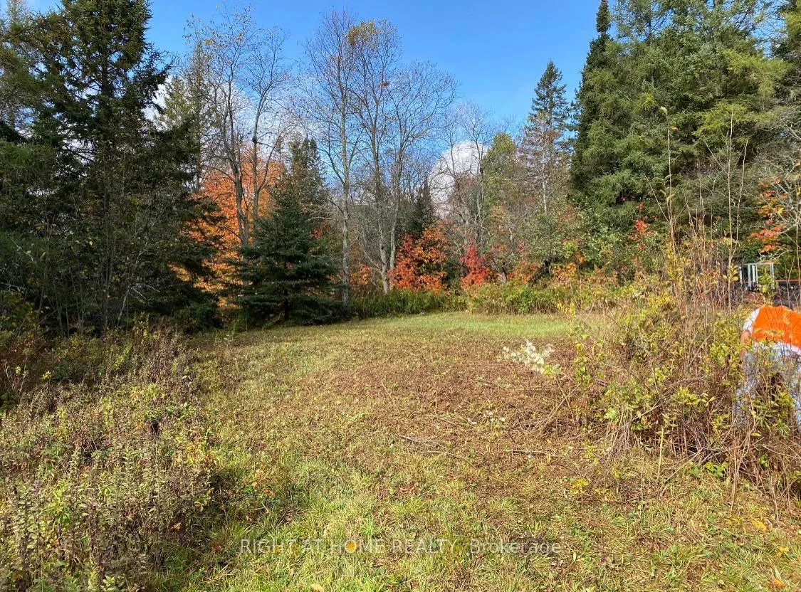 Photo 7 of 2263 Machar Strong Boundry Road, Strong — HOMEH