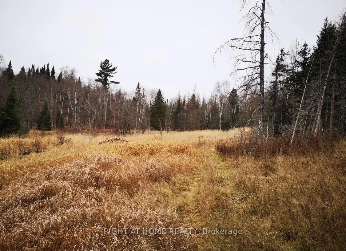 Photo 8 of 2263 Machar Strong Boundry Road, Strong — HOMEH