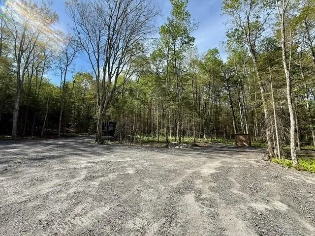 Photo 6 of 1394 Bartlett Lake Road, Ryerson — HOMEH
