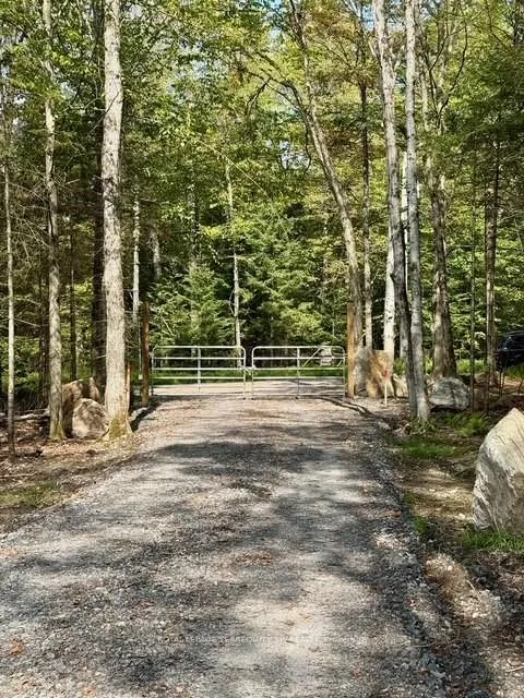 Photo 19 of 1394 Bartlett Lake Road, Ryerson — HOMEH