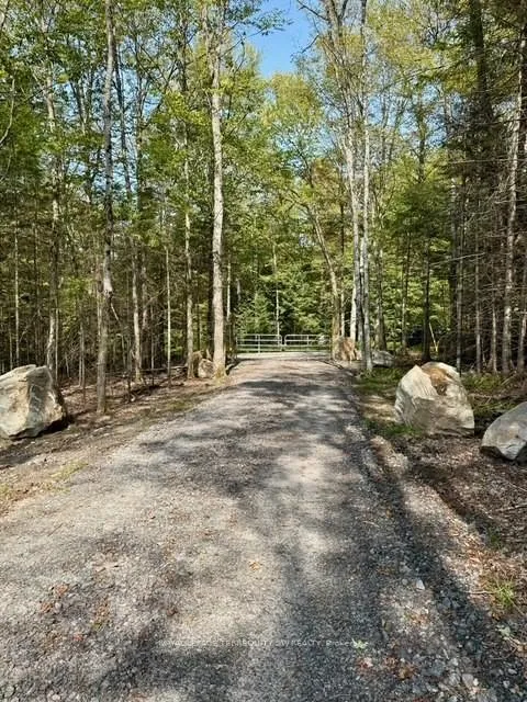 Photo 20 of 1394 Bartlett Lake Road, Ryerson — HOMEH