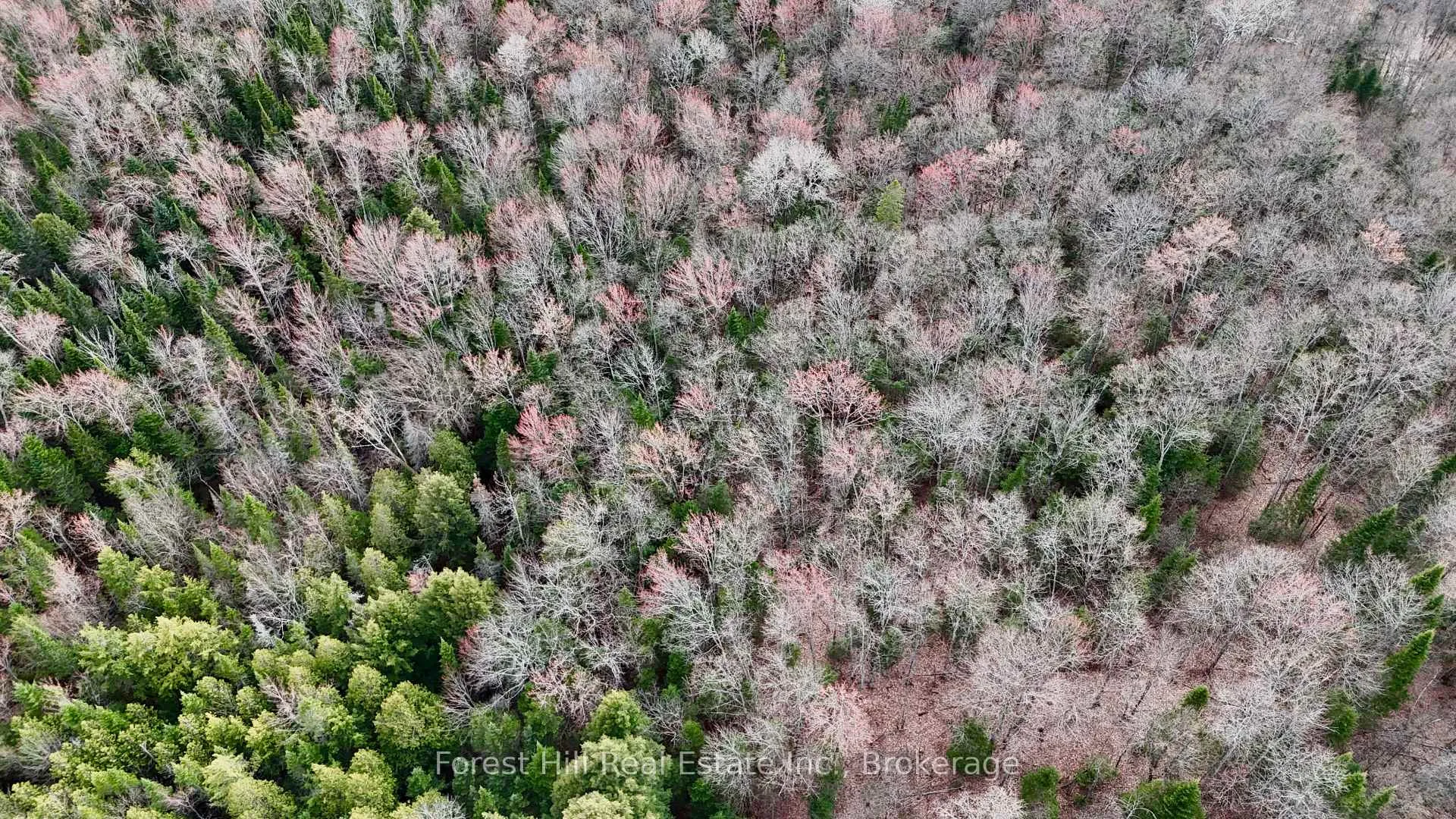Photo 27 of 940 Fern Glen Road, Perry — HOMEH