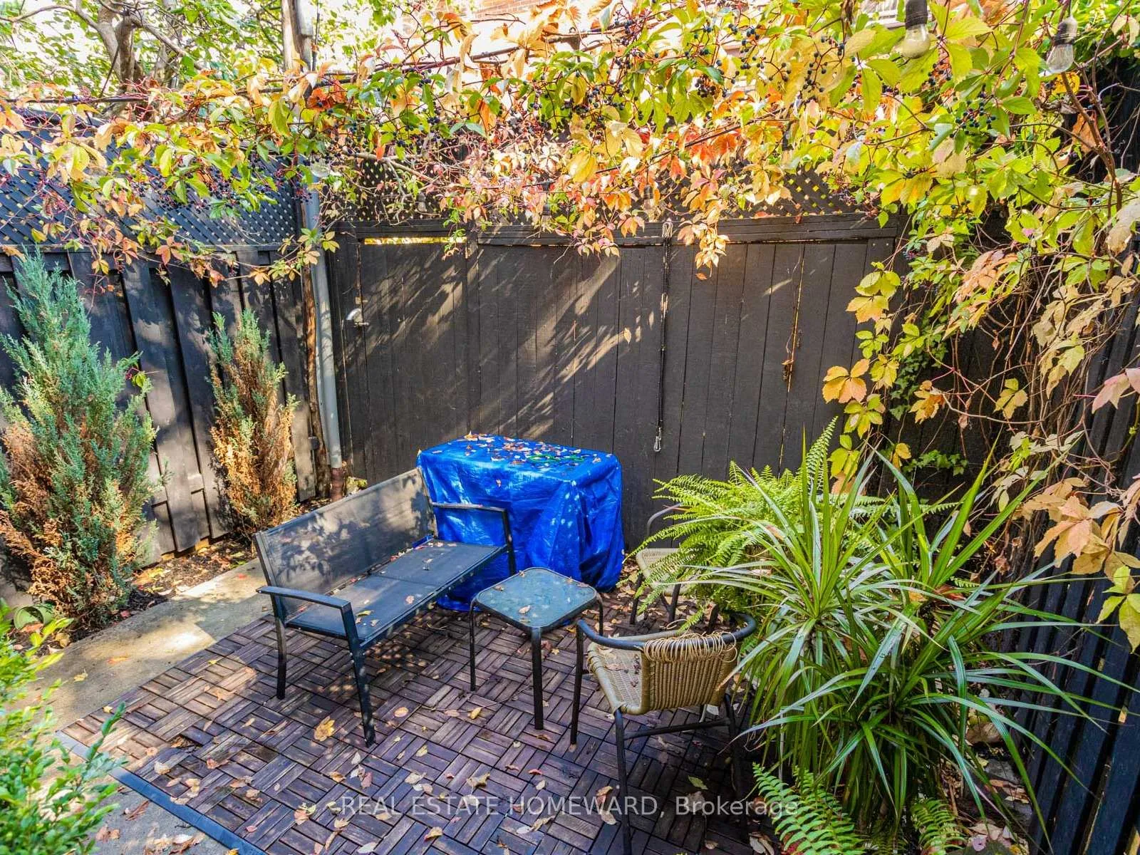 Photo 47 of 133 Cowan Avenue, Toronto, South Parkdale — HOMEH