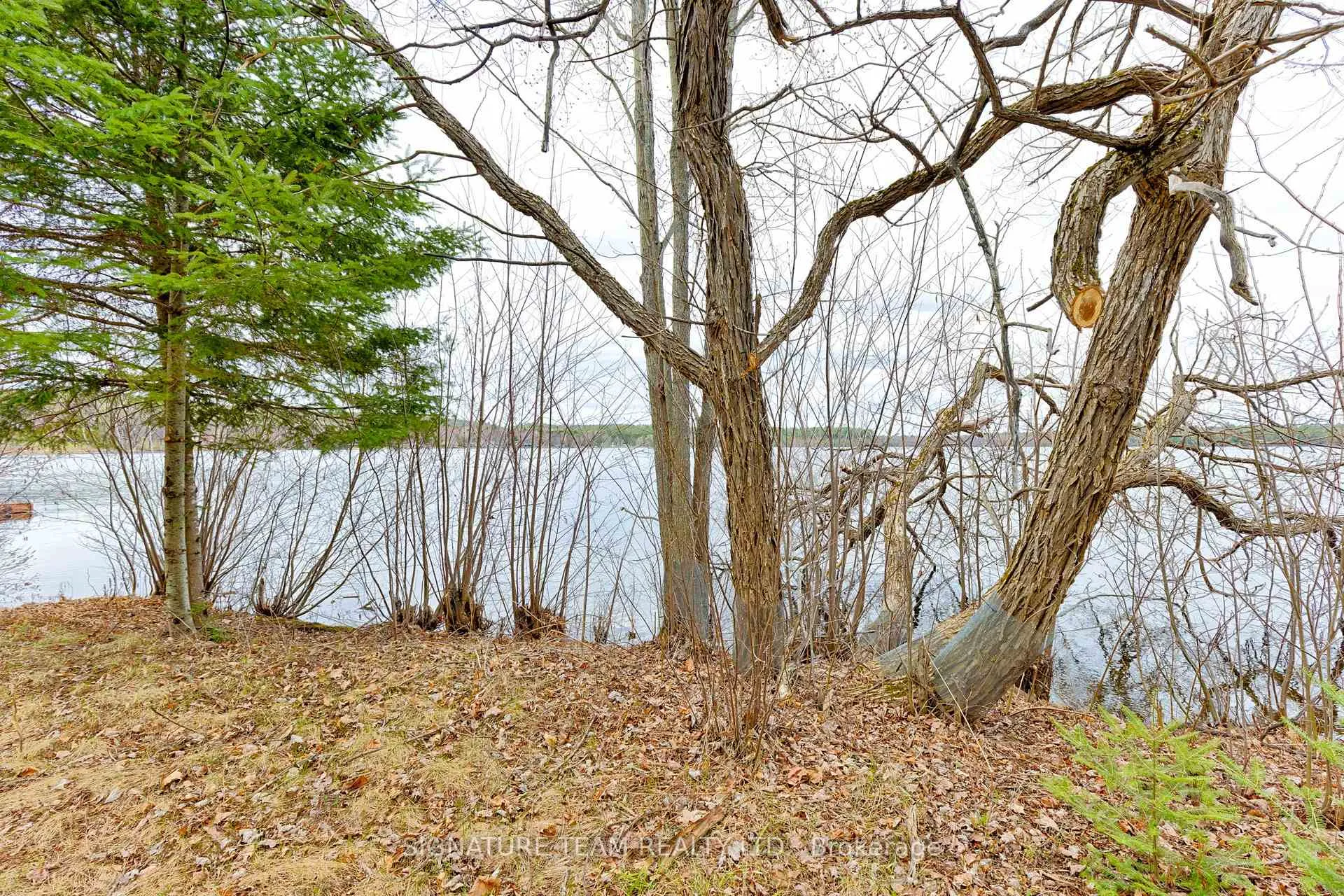 Photo 17 of 7B Bunchberry Lane, North Algona Wilberforce, North Algona/Wilberforce Twp — HOMEH
