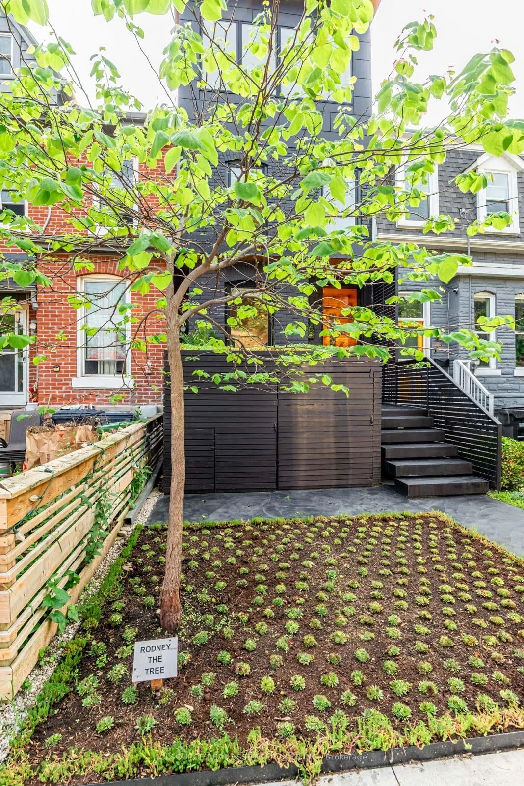 Photo 4 of 44 Massey Street, Toronto, Niagara — HOMEH