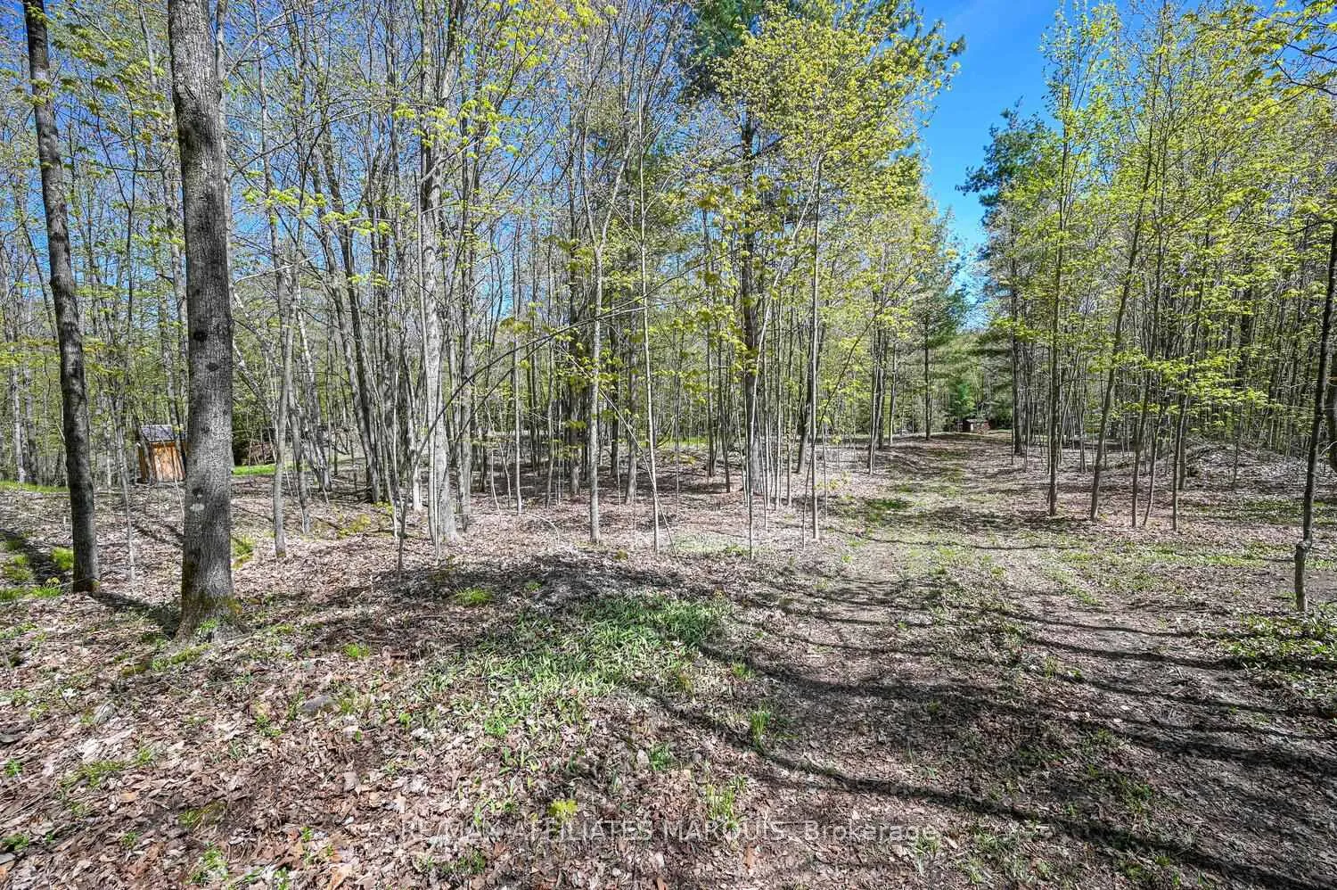 Photo 9 of 00 Scotch Line Road, Tay Valley, Bathurst/Burgess & Sherbrooke (North Burgess) Twp — HOMEH