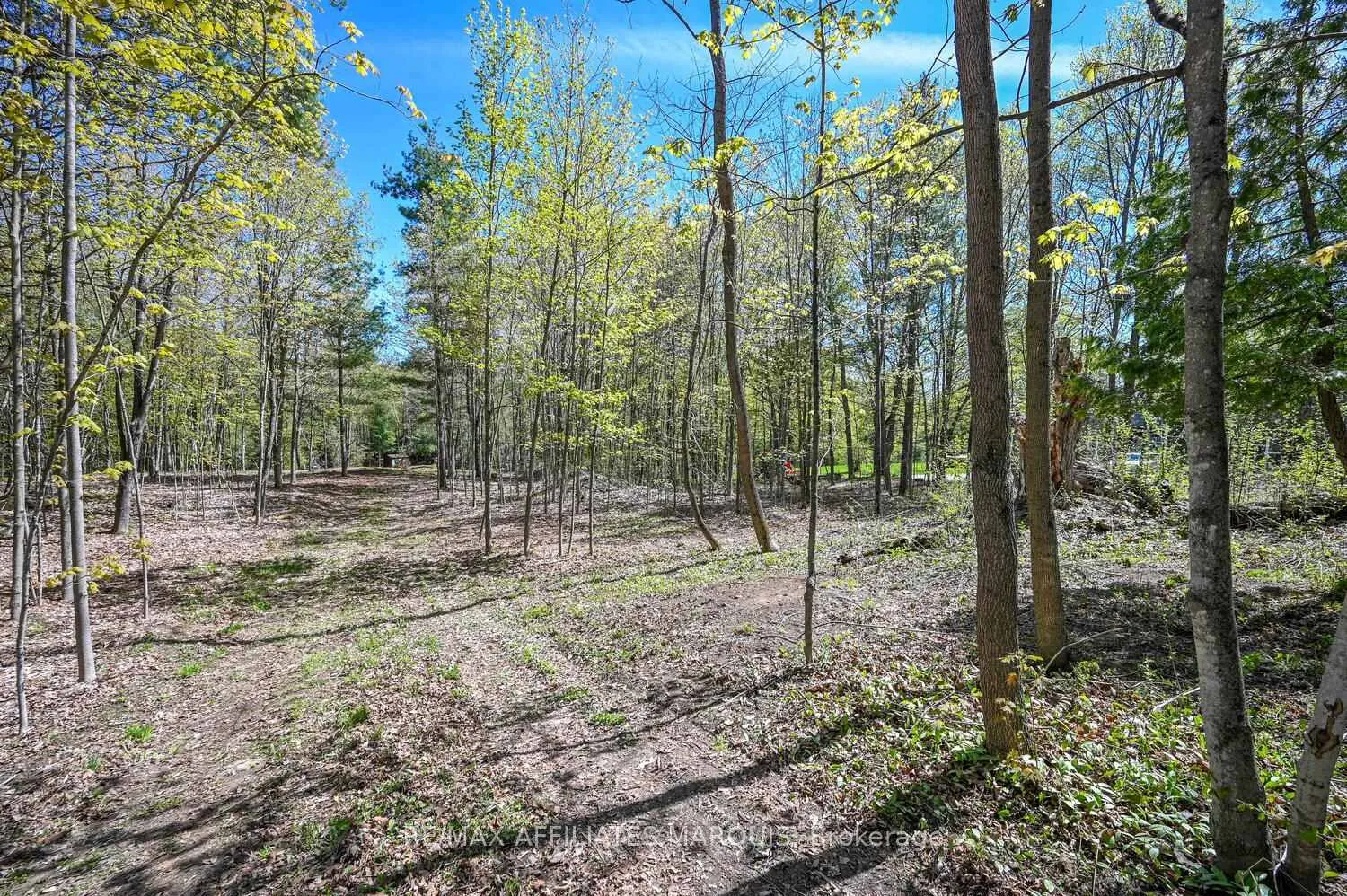 Photo 10 of 00 Scotch Line Road, Tay Valley, Bathurst/Burgess & Sherbrooke (North Burgess) Twp — HOMEH