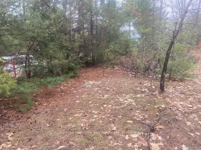 Photo 2 of Lot 514 Tall Pines Drive, Tiny, Rural Tiny — HOMEH