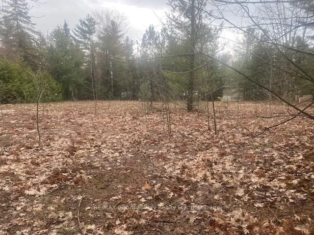 Photo 3 of Lot 514 Tall Pines Drive, Tiny, Rural Tiny — HOMEH