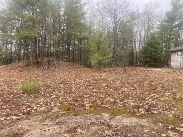Photo 4 of Lot 514 Tall Pines Drive, Tiny, Rural Tiny — HOMEH