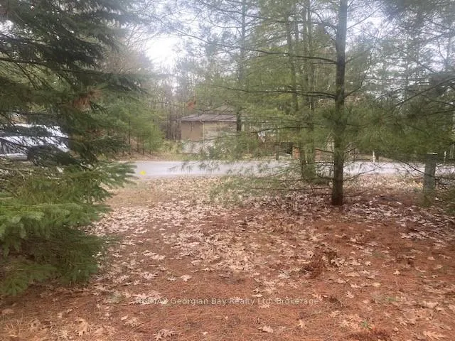Photo 5 of Lot 514 Tall Pines Drive, Tiny, Rural Tiny — HOMEH