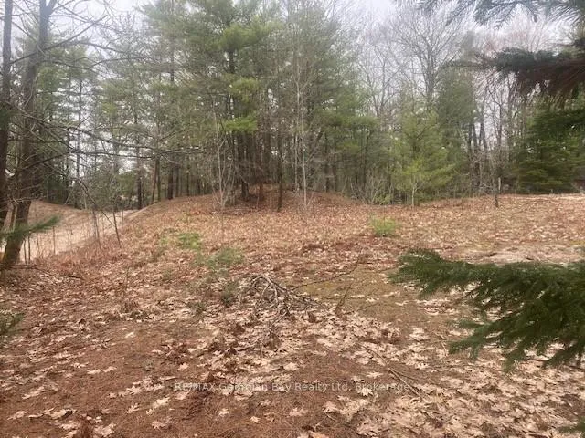 Photo 6 of Lot 514 Tall Pines Drive, Tiny, Rural Tiny — HOMEH