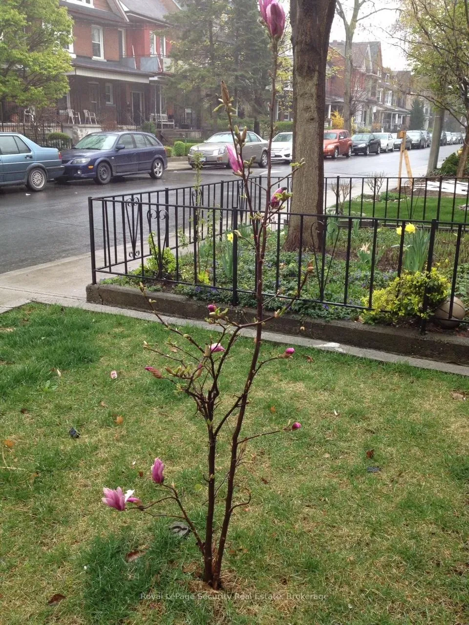 Photo 20 of Unit 2nd & 3rd Floor, 380 Crawford Street, Toronto, Trinity-Bellwoods — HOMEH