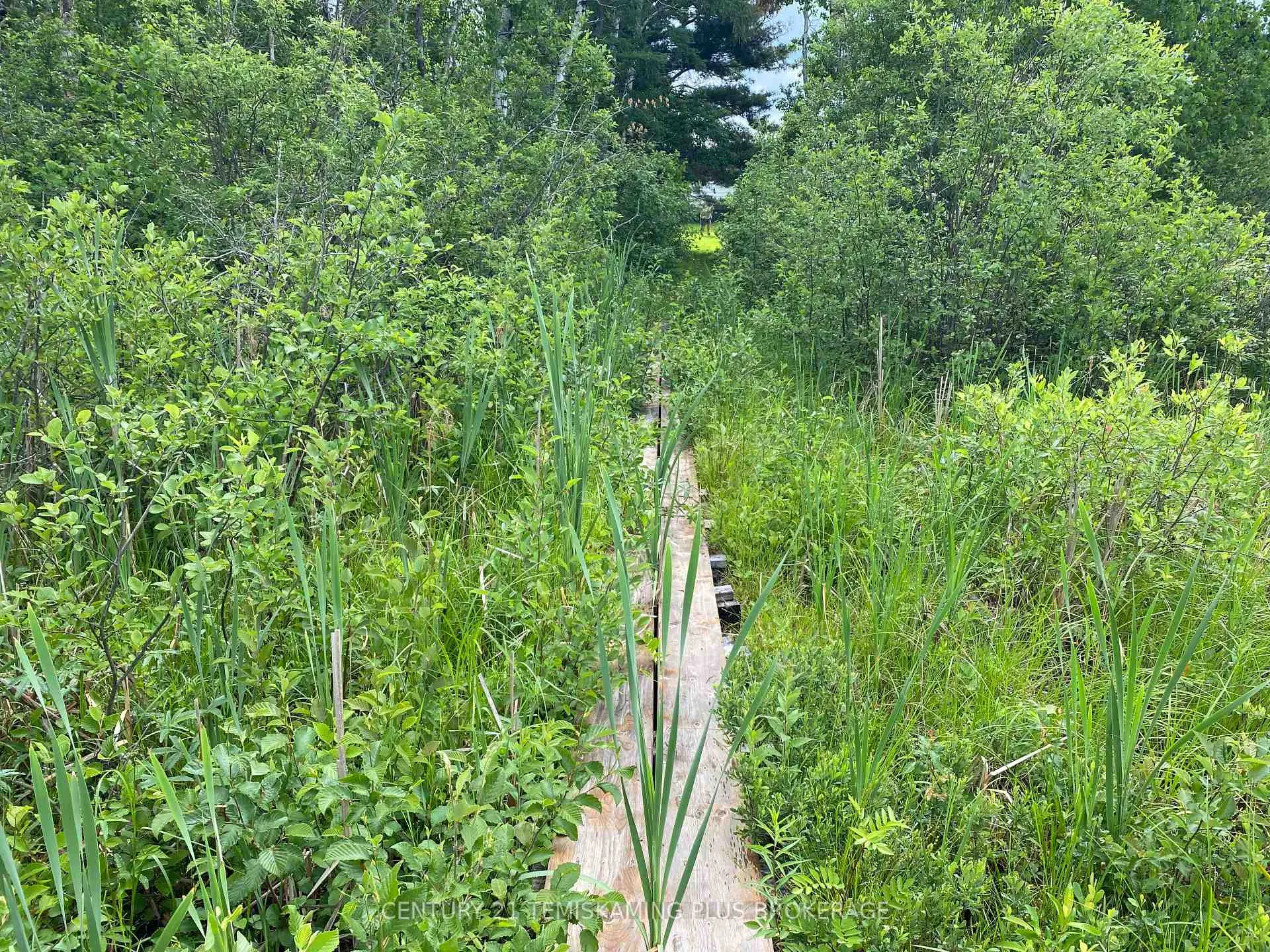 Photo 20 of 43 Proulx Street, Timiskaming, TIM - Outside - Rural — HOMEH