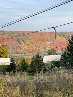 Photo 47 of 219 Bowles Bluff Road, Grey Highlands — HOMEH