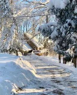 Photo 48 of 219 Bowles Bluff Road, Grey Highlands — HOMEH