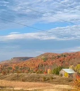Photo 50 of 219 Bowles Bluff Road, Grey Highlands — HOMEH
