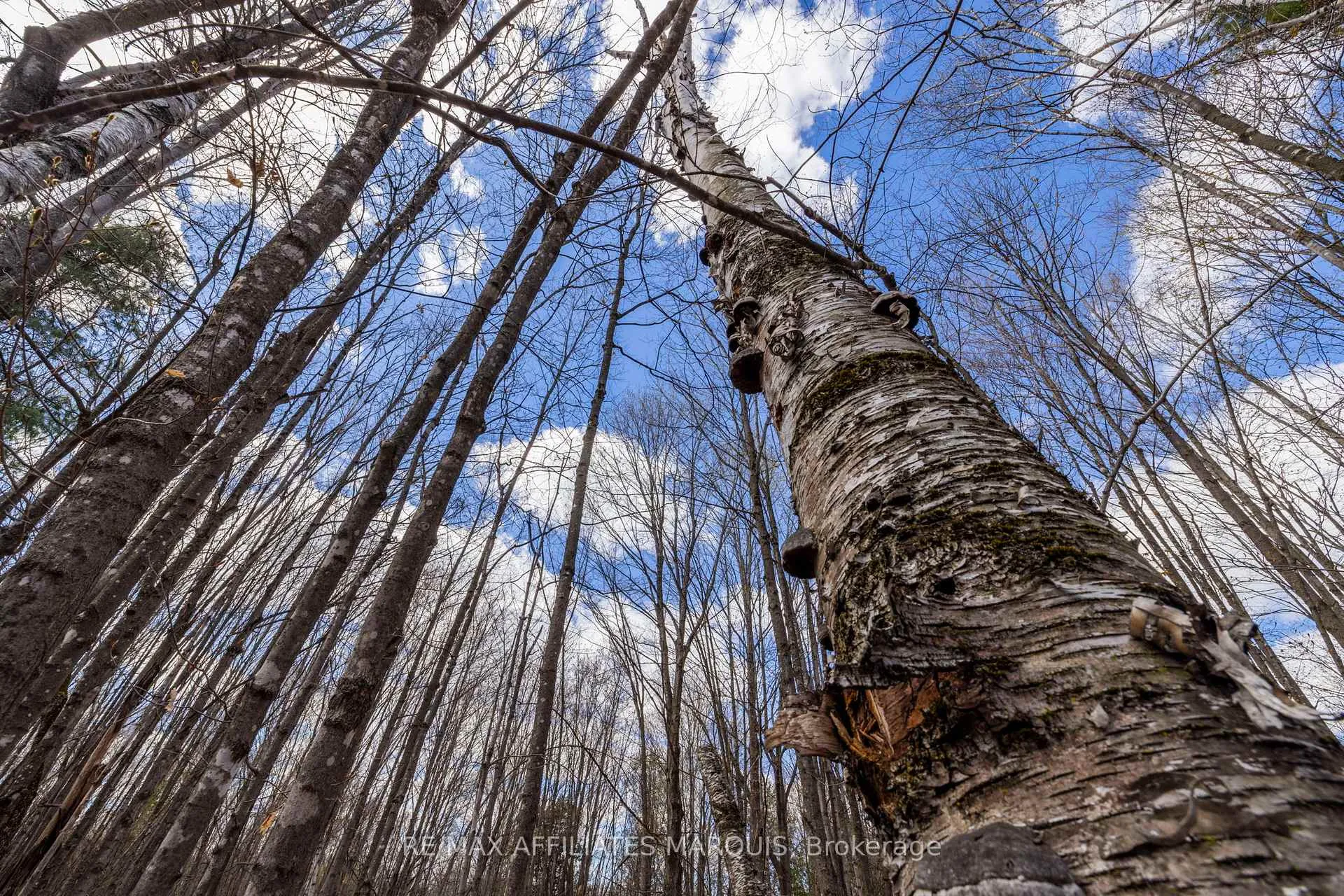Photo 31 of 00 Mahon Road, Rideau Lakes, Rideau Lakes (South Burgess) Twp — HOMEH
