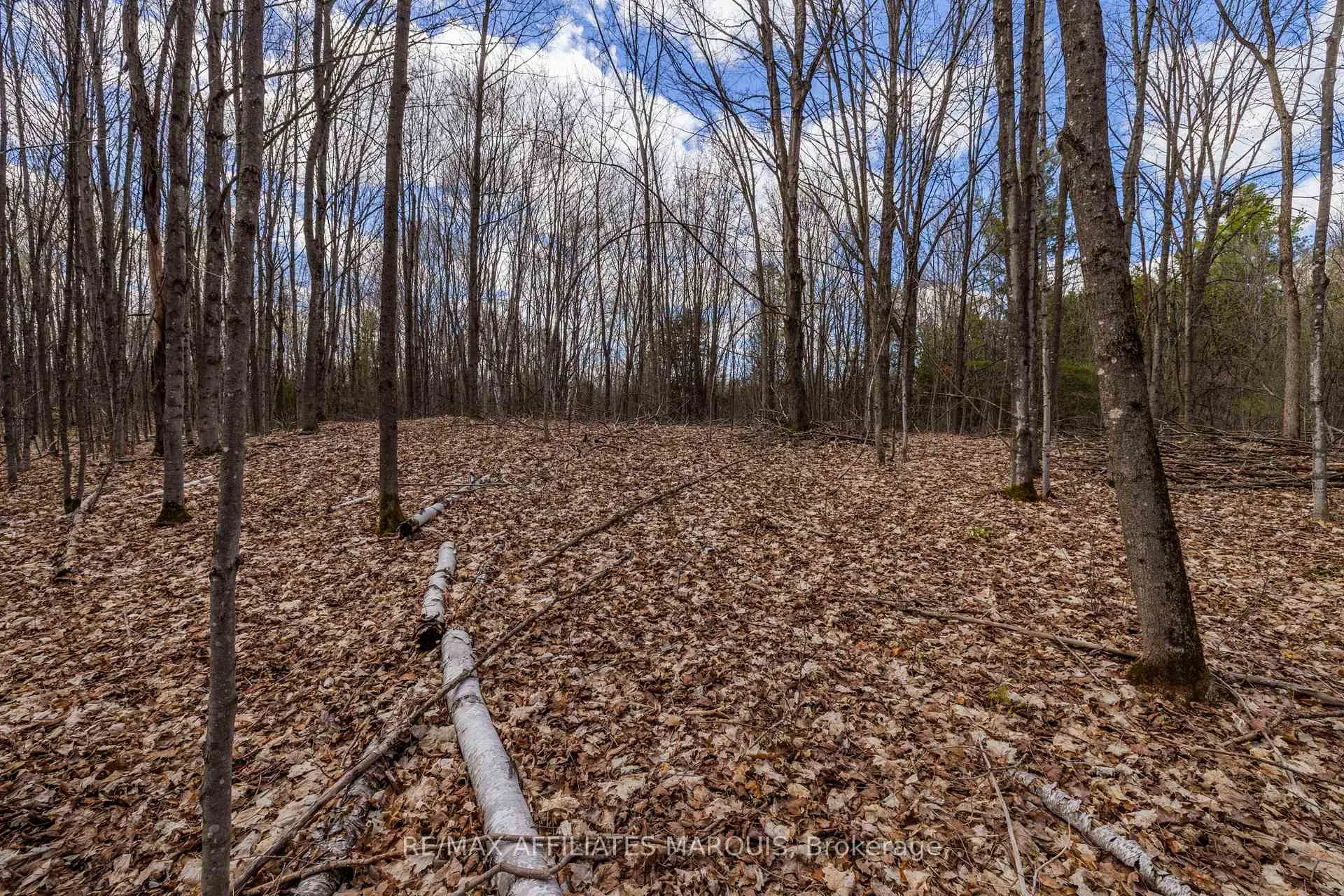 Photo 36 of 00 Mahon Road, Rideau Lakes, Rideau Lakes (South Burgess) Twp — HOMEH