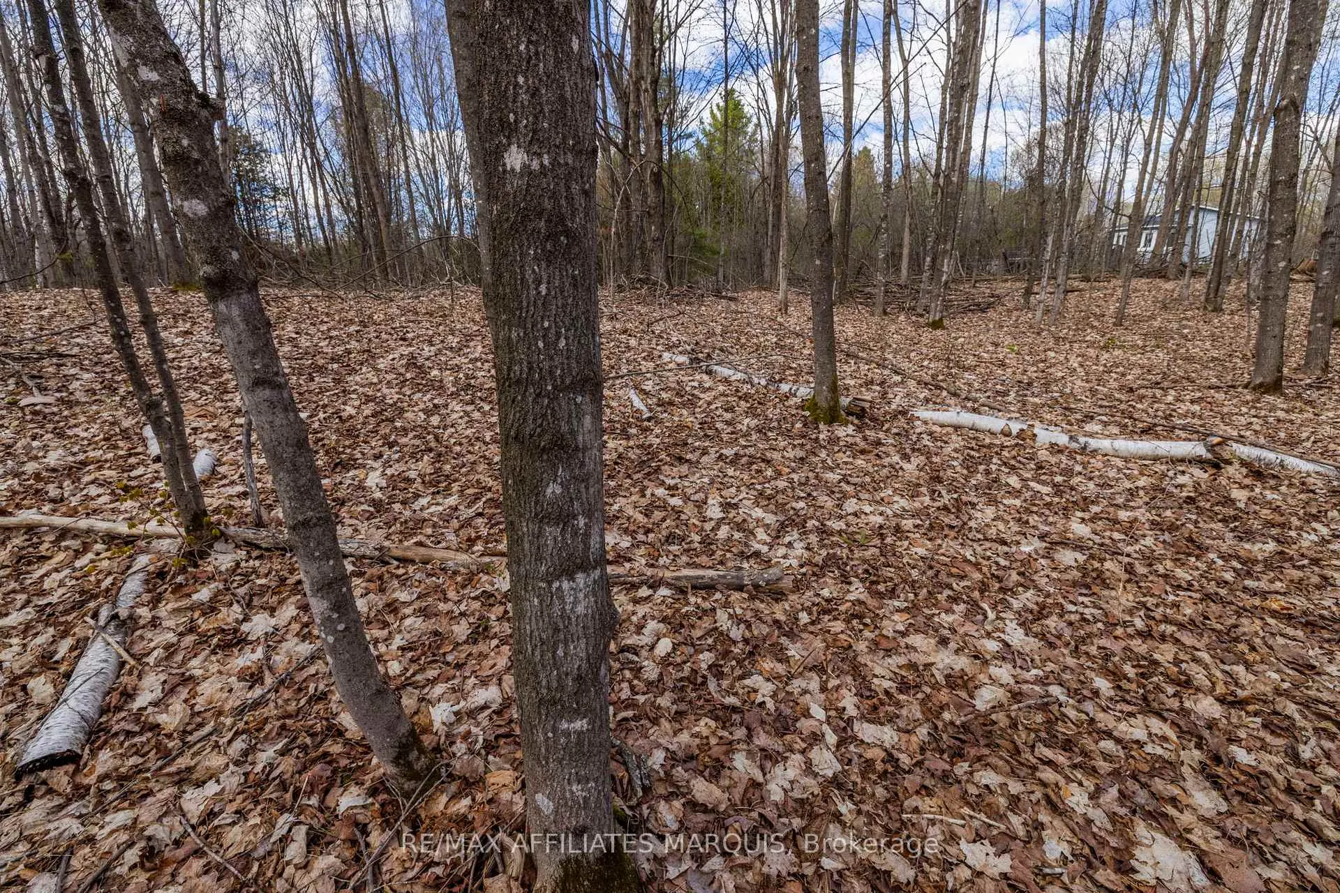 Photo 38 of 00 Mahon Road, Rideau Lakes, Rideau Lakes (South Burgess) Twp — HOMEH