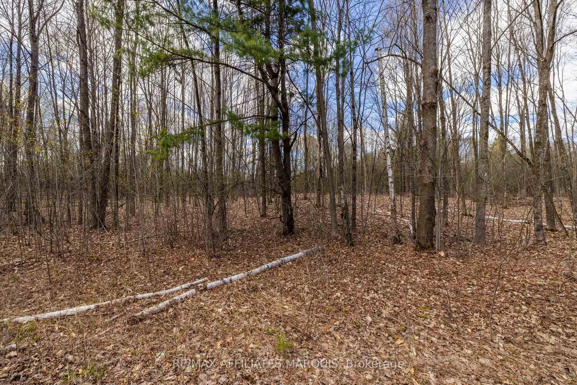 Photo 39 of 00 Mahon Road, Rideau Lakes, Rideau Lakes (South Burgess) Twp — HOMEH