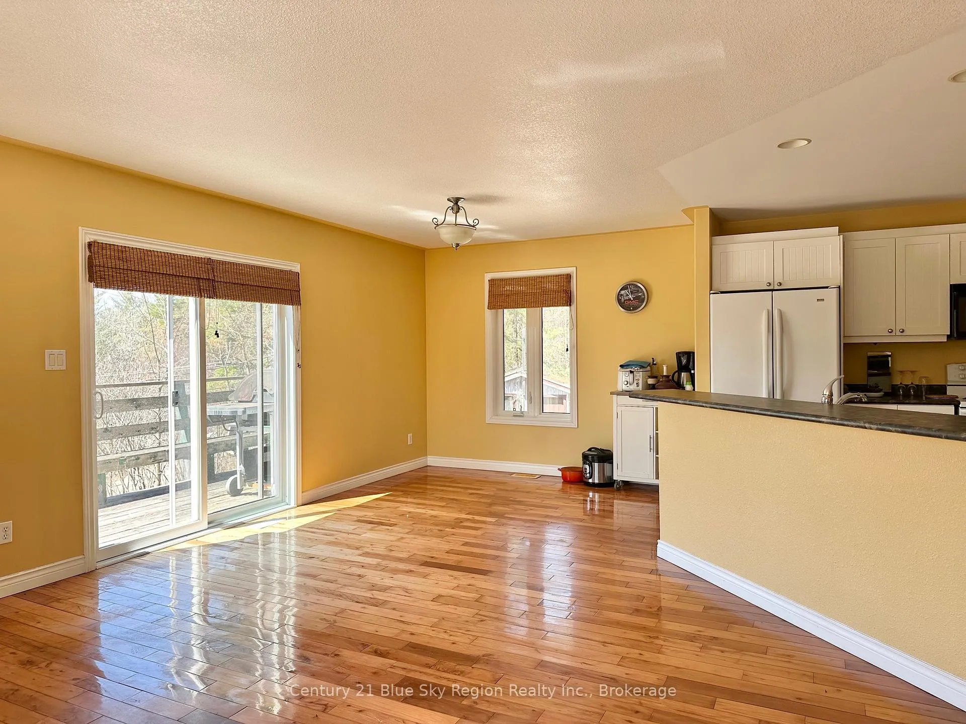 Photo 9 of 119 Moosehead Road, Mattawan — HOMEH