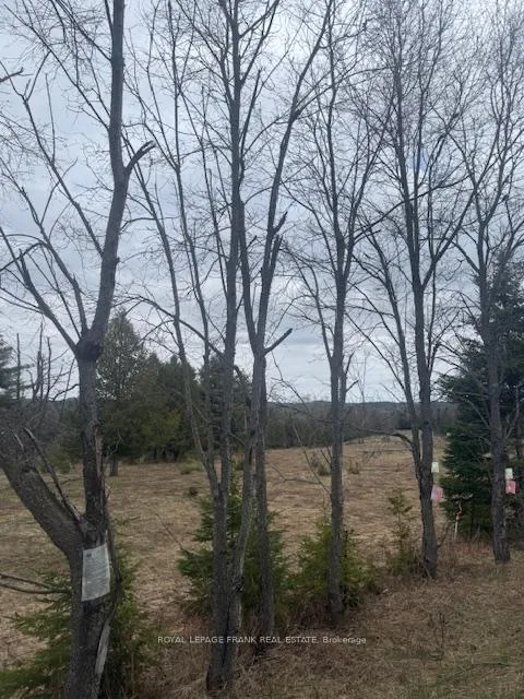Photo 2 of Lot 1 Detlor Road, Bancroft, Dungannon Ward — HOMEH