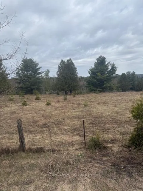 Photo 4 of Lot 1 Detlor Road, Bancroft, Dungannon Ward — HOMEH