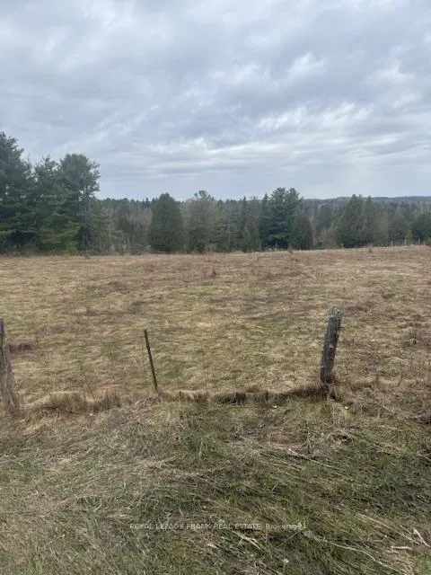 Photo 5 of Lot 1 Detlor Road, Bancroft, Dungannon Ward — HOMEH