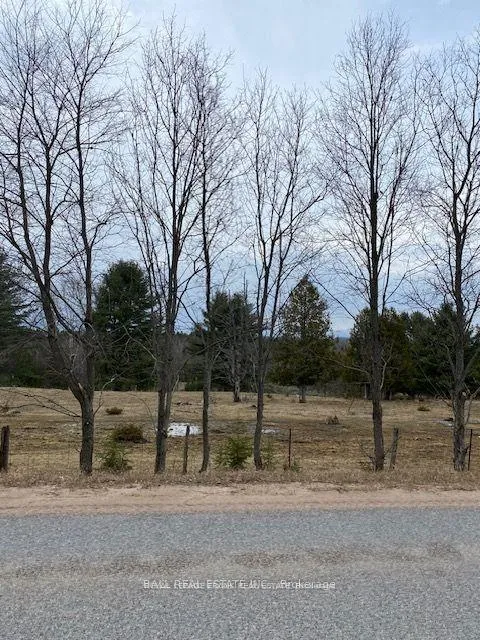Photo 7 of Lot 1 Detlor Road, Bancroft, Dungannon Ward — HOMEH