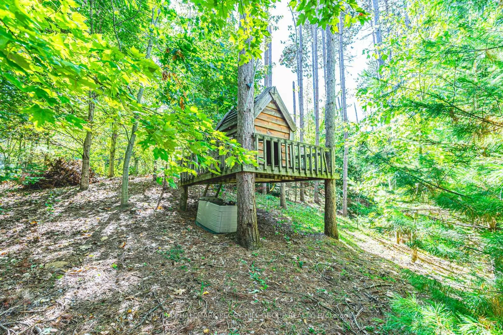 Photo 23 of 5 Campbell Court, Springwater, Hillsdale — HOMEH