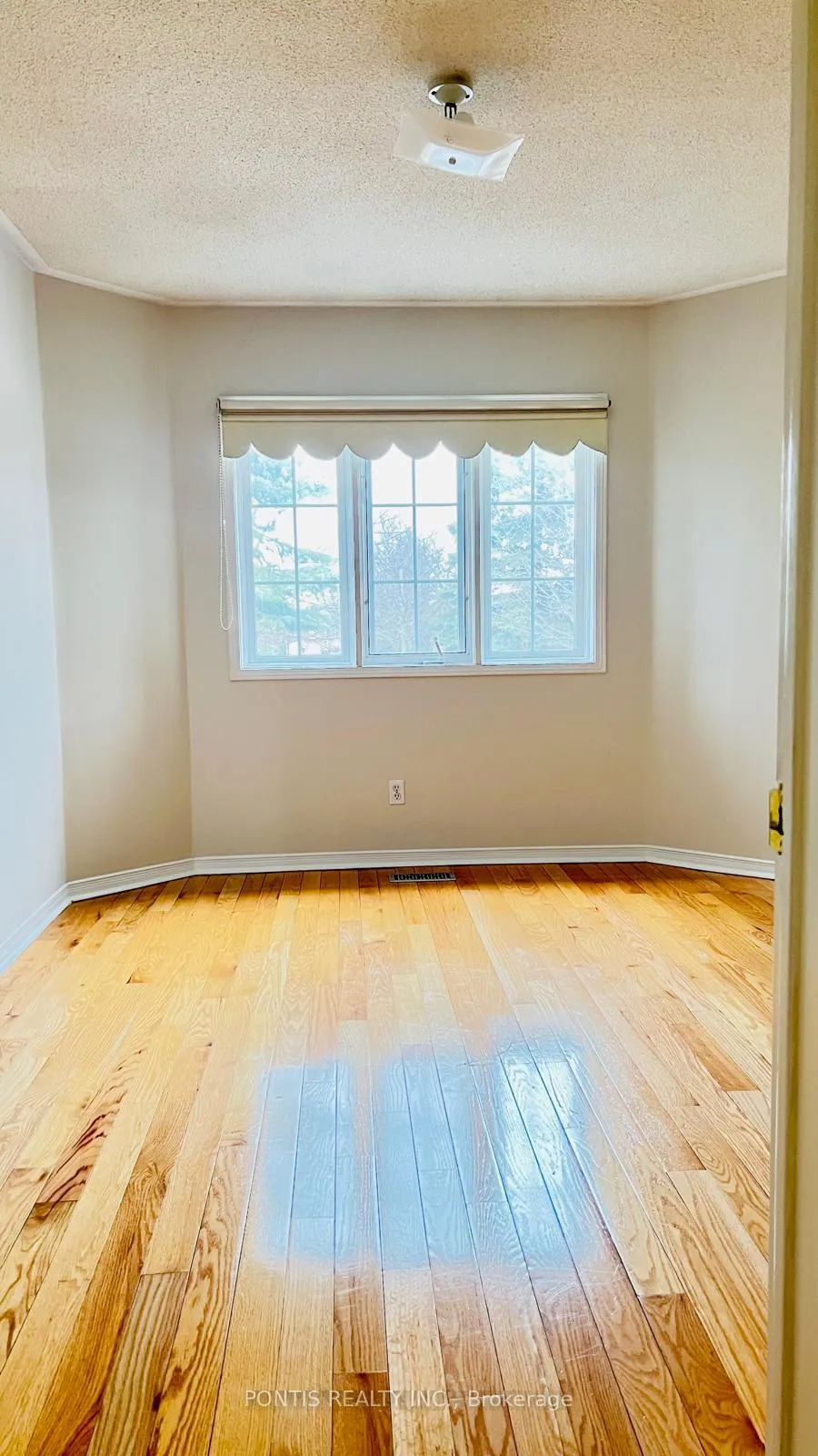 Photo 14 of 33 Clover Bloom Road, Brampton, Sandringham-Wellington — HOMEH