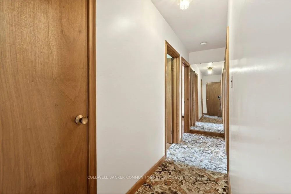 Photo 20 of 14 Callie Road, Hamilton, Hill Park — HOMEH